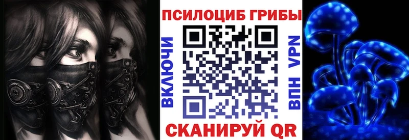 Галлюциногенные грибы ЛСД  ссылка на мегу маркетплейс  Ершов  что такое наркотик 