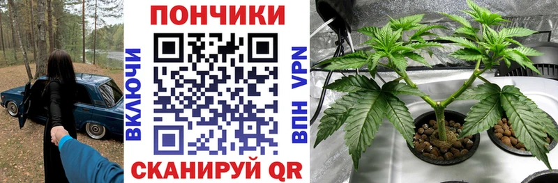 как найти закладки  Ершов  Бошки марихуана тримм 